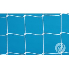 Replacement Net 4mm Poly FPX x 3.0